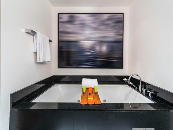Luxury Miami Beach Condo  Two Bedroom Rental - Ocean & City Views